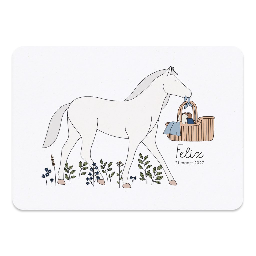 Geboortekaartje met paard. Een lief kaartje met een pony paardje en een jongetje in een mandje.